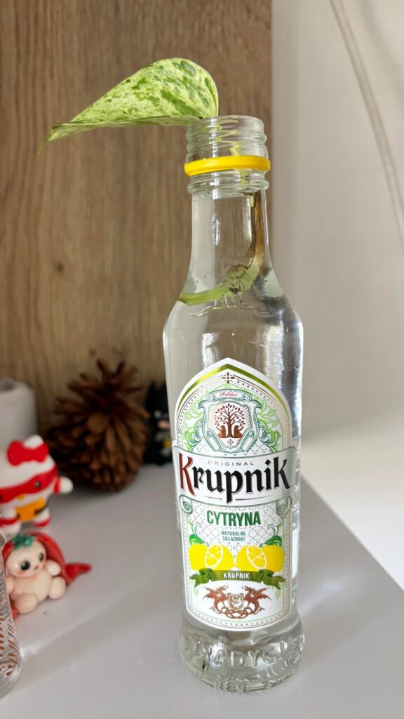 Finally found a way to use these empty bottles Ive been collecting, what do you think?😁