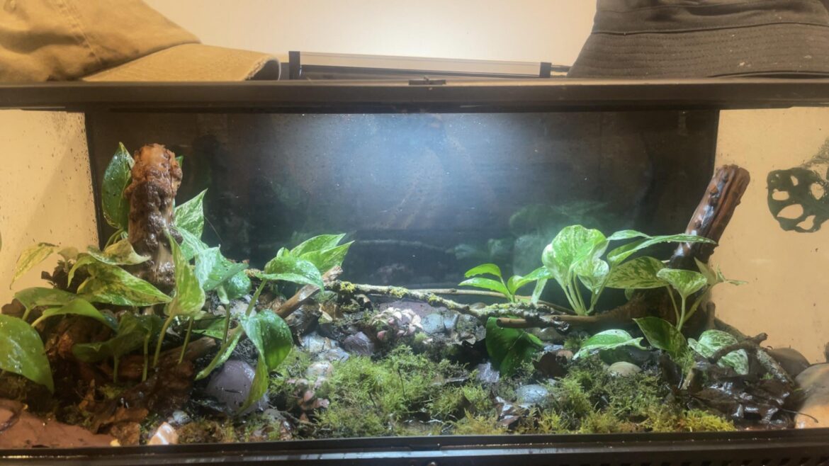 What should I put in it What should I put in it