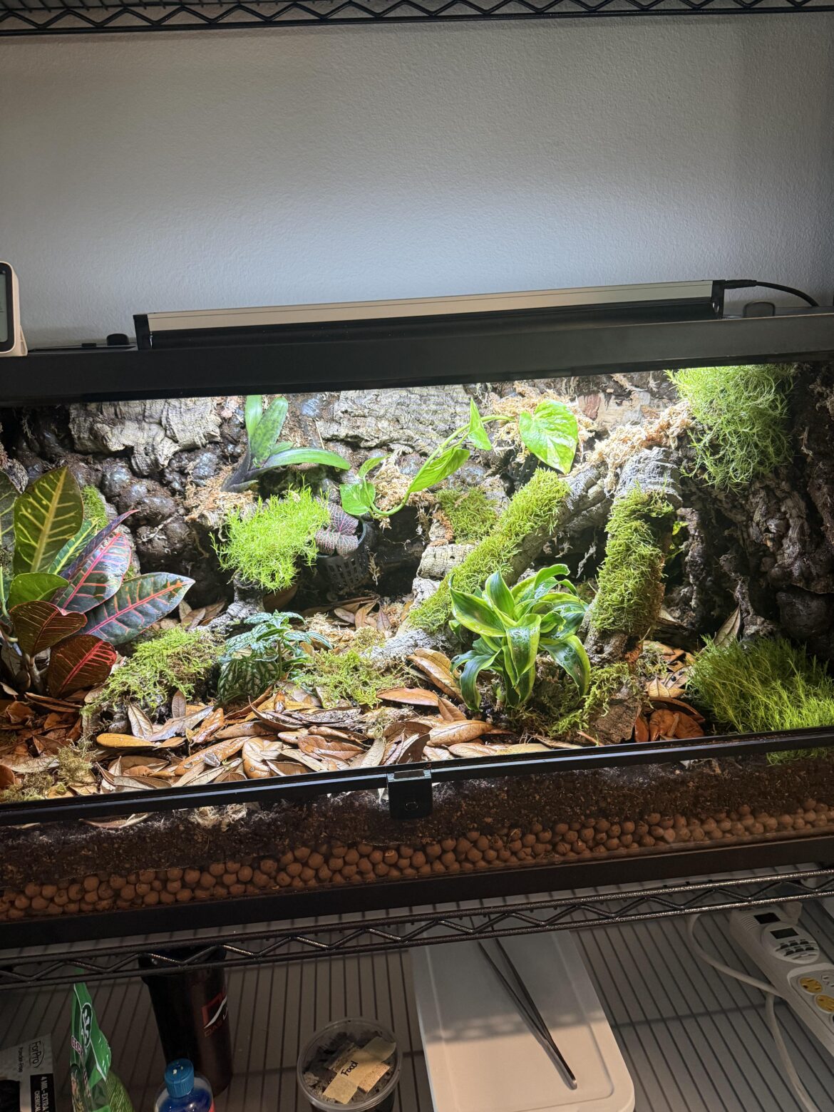 It’s completed! What do yall think?