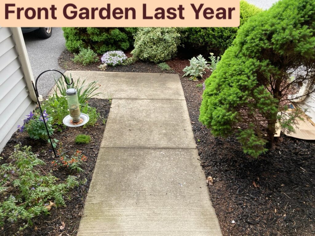 Front and back gardens at rental are overrun with weeds yearly. Looking for advice to avoid HOA fine & embarrassment. 7a-USA, PA