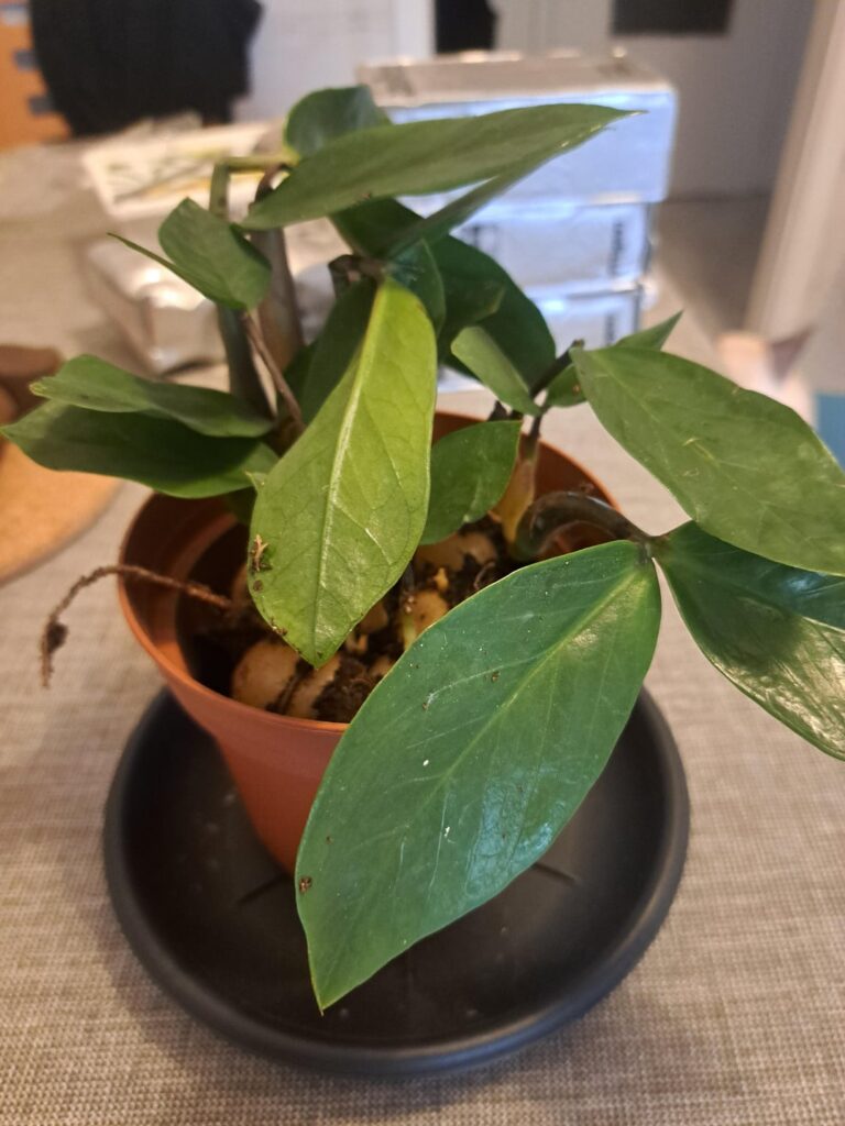 Found this in the dumpster