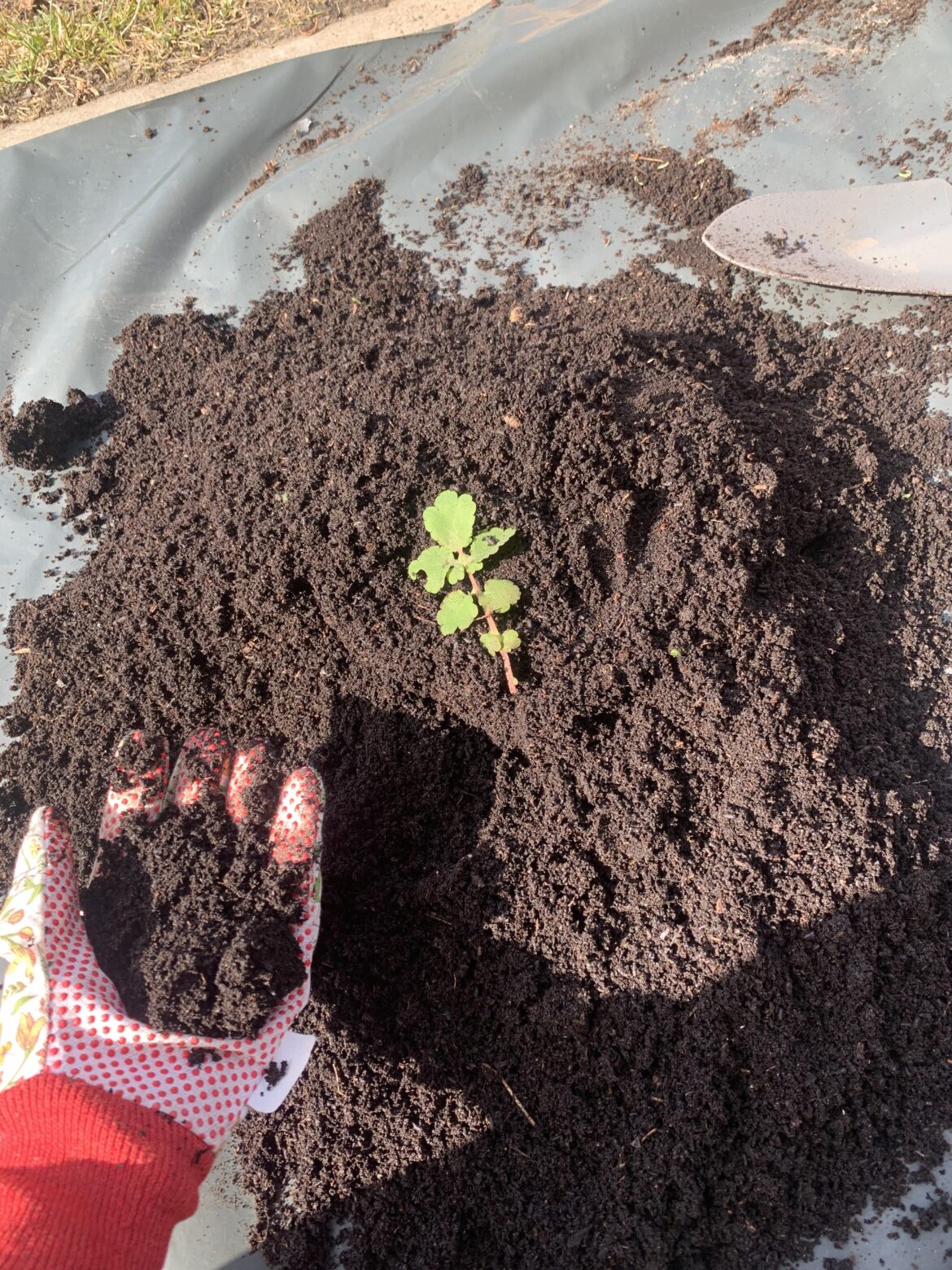 I have to make a decision and I need help