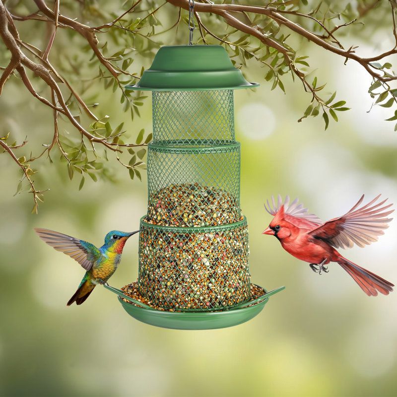 Arlmont &amp; Co. Kibwe Squirrel Proof Bird Feeder,metal Mesh Bird Feeders for Outdoors Hanging,gravity Protection Squirrel Proof Wild Bird Feeders With Finch Cardinal Chickadee,green,father's Day Gift &amp; Reviews | Wayfair