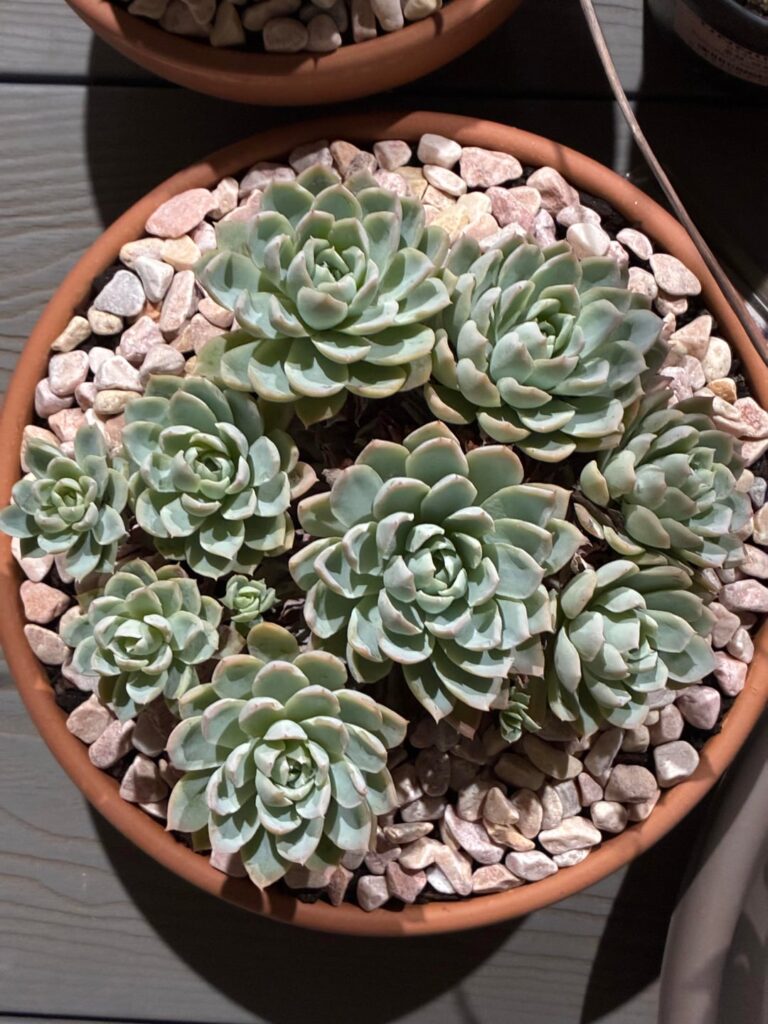 Tonight’s repot