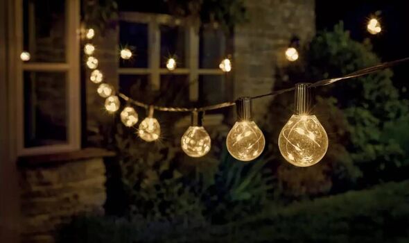 Argos Smart Garden Firefly Festoon String Lights