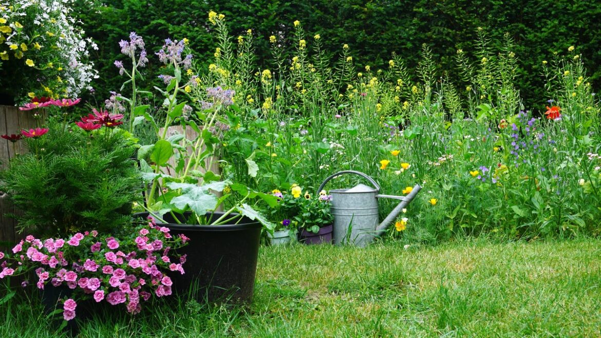 Oshkosh spring rally features Melinda Myers on April 18 gardening Oshkosh spring rally features Melinda Myers on April 18 gardening