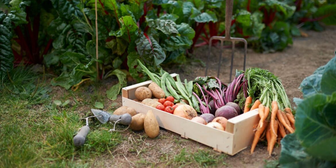 5 Vegetables To Plant In March For An Early Summer Harvest