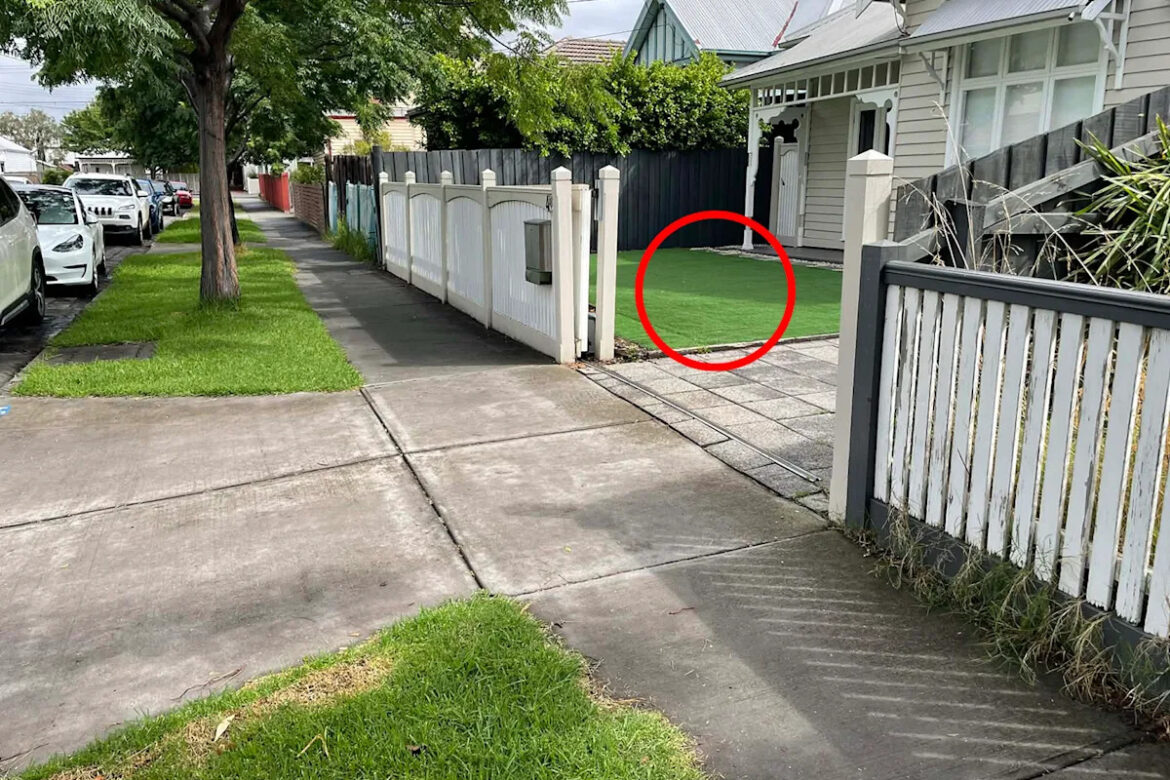 Hidden cost of divisive feature taking over Aussie gardens and nature strips Hidden cost of divisive feature taking over Aussie gardens and nature strips