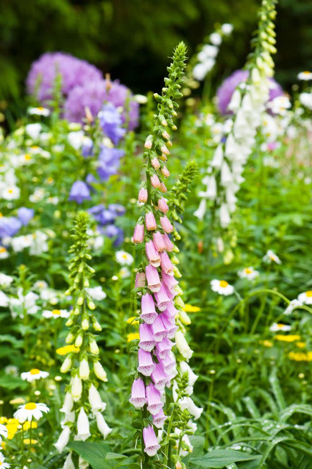 Credit: Kindra Clineff