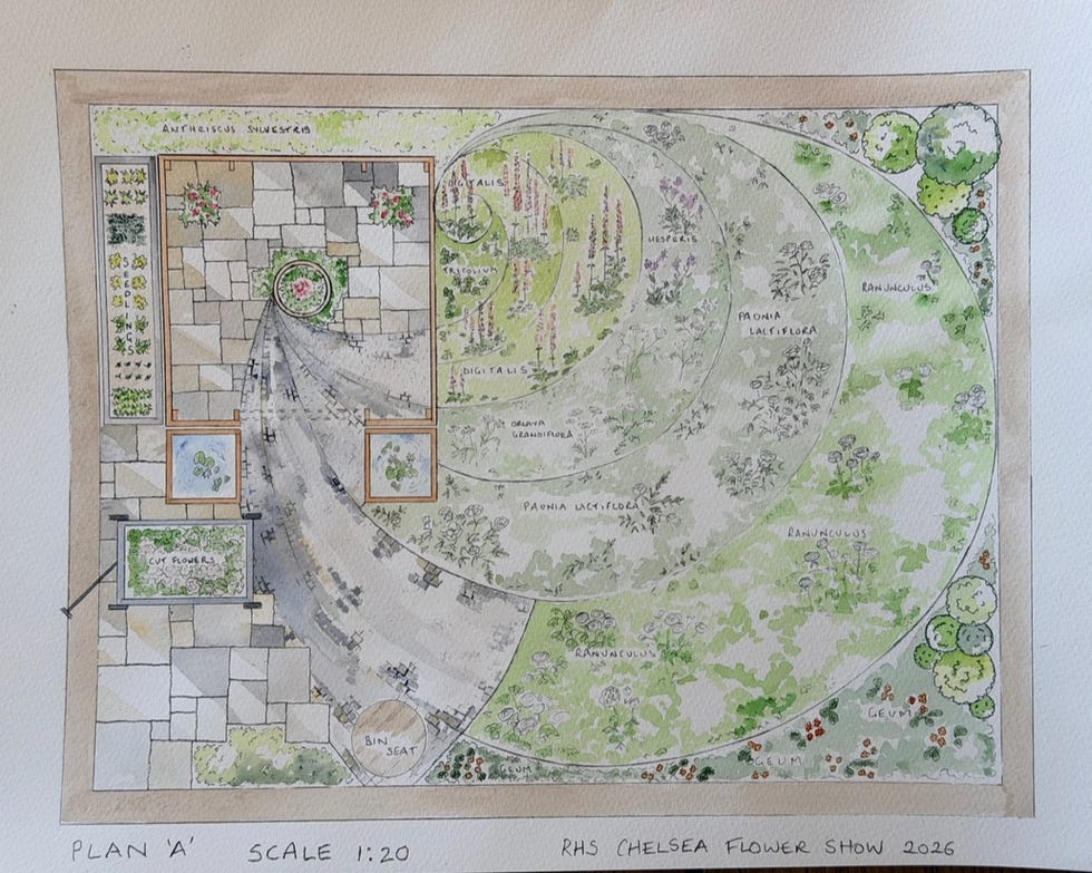 landscape plan design for a garden at the rhs chelsea flower show 2026