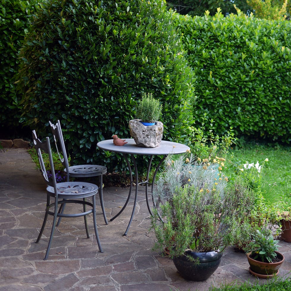 Back garden patio with table, flower pots with kitchen herbs back garden with table, flower pots with kitchen herbs