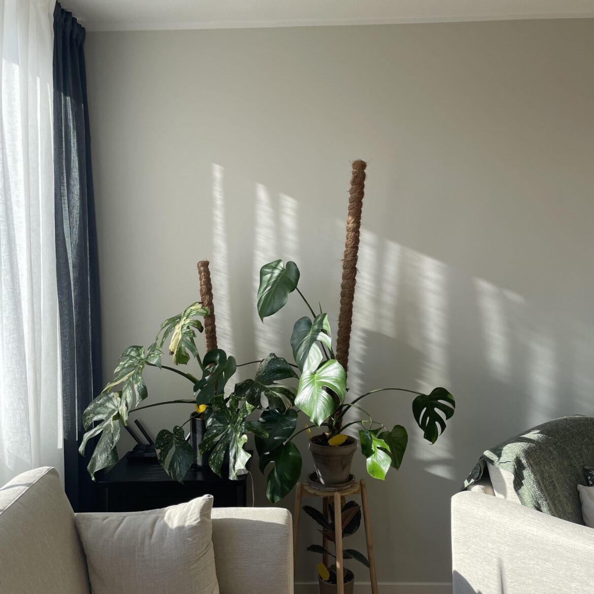 Thinking of adding a wall trellis, good idea?