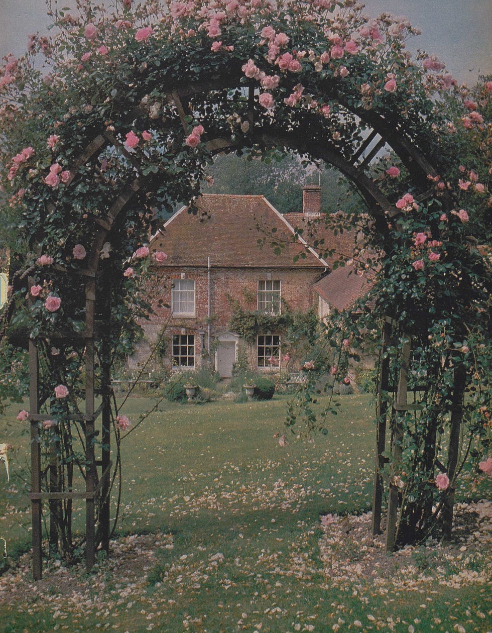 garden archway adorned with pink roses leading to a house