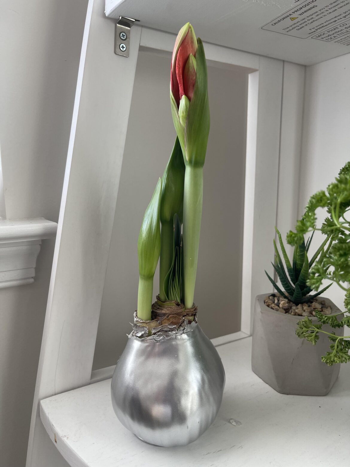 Any idea what this is?