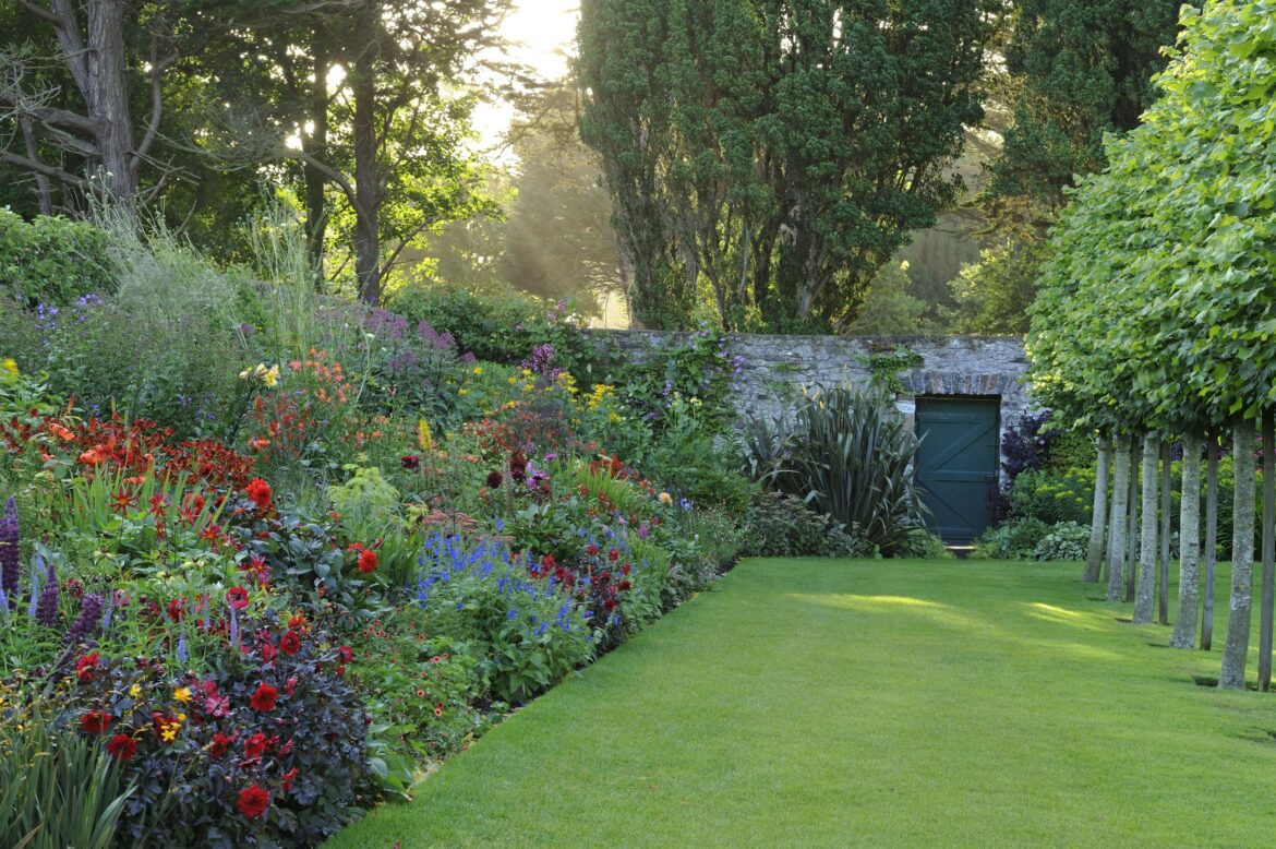 I pitted AI against a much-loved 1963 gardening book to see what to do with my little corner of Ireland — here's what happened