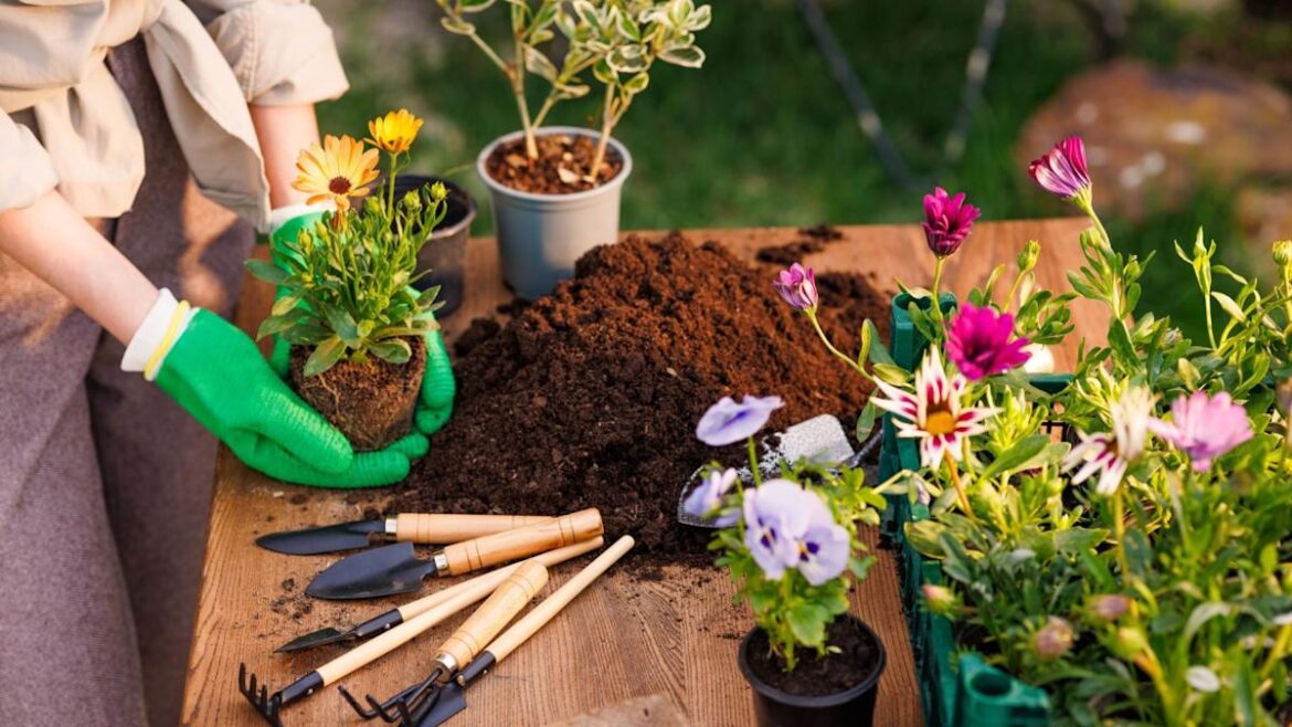 10 Critical Tasks for Preparing Your Garden for Spring Planting