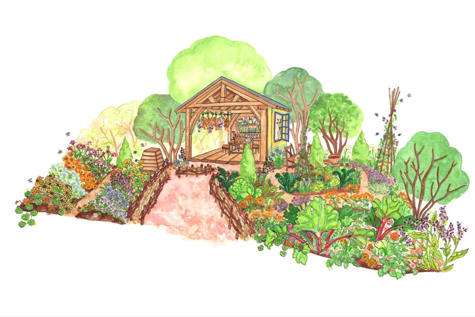garden scene with a wooden shed and various plants