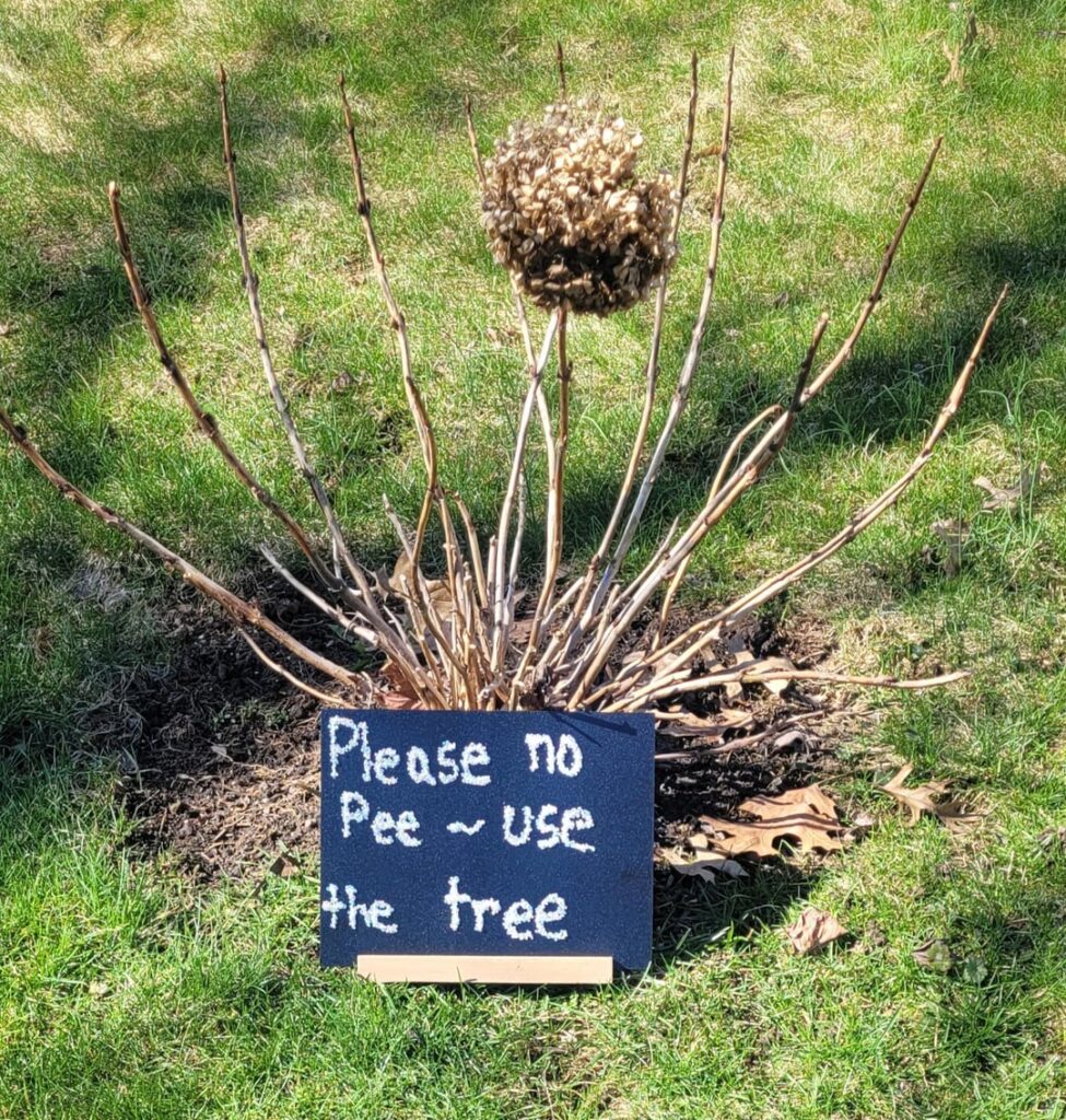 Is this yard decor tacky and unfriendly?