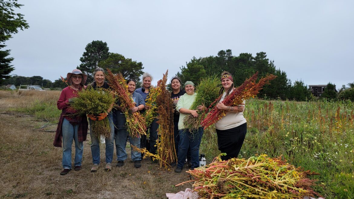 Have you heard of adaptation gardening?