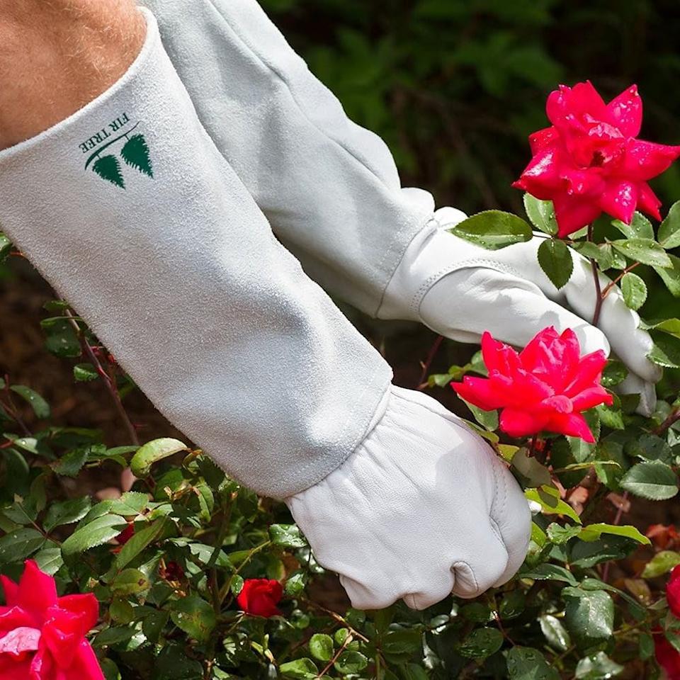 Amazon Has the Gardening Tools You Need for Spring