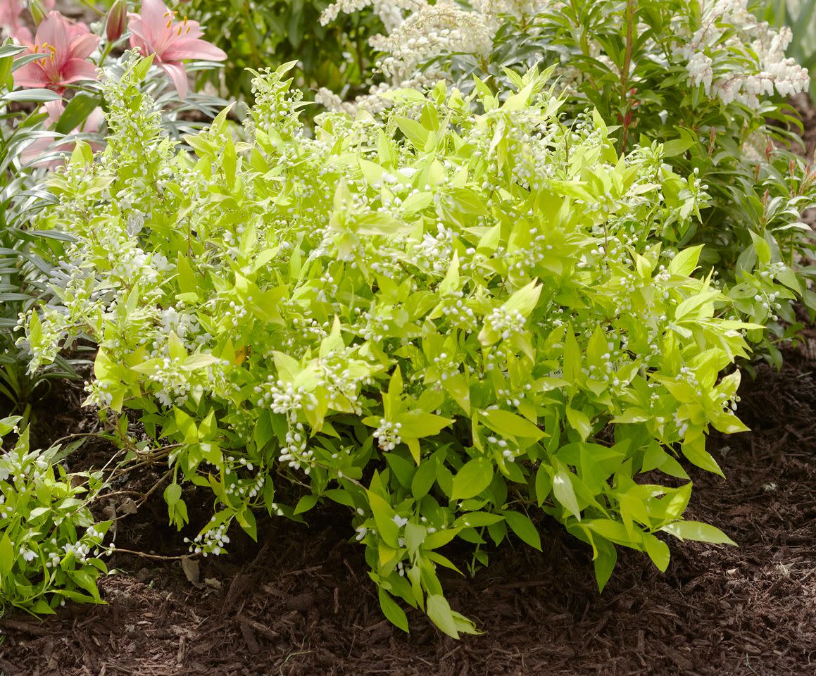 Credit: Peter Krumhardt