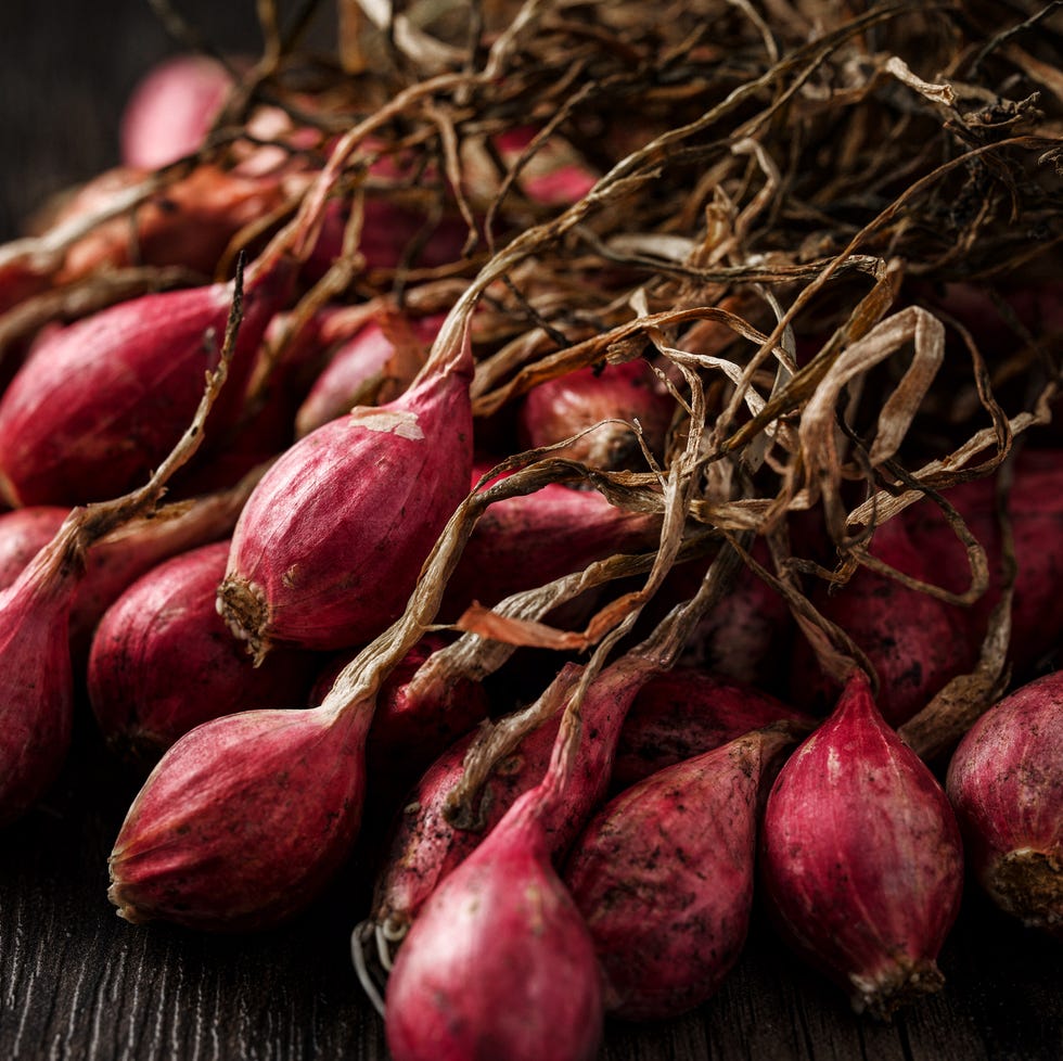 Indian Shallots close up image of a bunch of indian red shallots