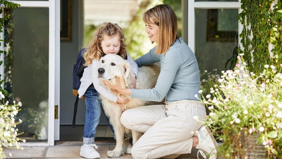 Mom, dog and child in backyard with backpack, smile and playful bonding with animal on school morning. Mother, girl and Labrador pet in home garden with embrace, love and kiss for kindergarten kid