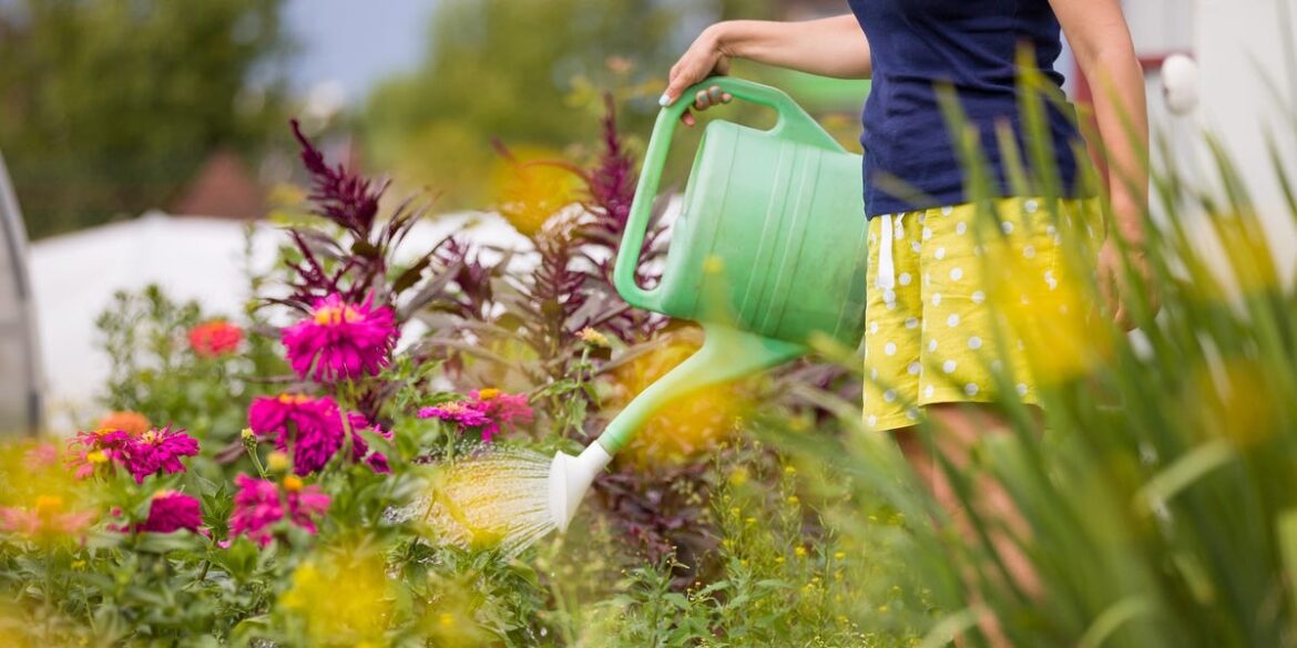 How Plant Hardiness Zones Work, According to a Gardening Pro