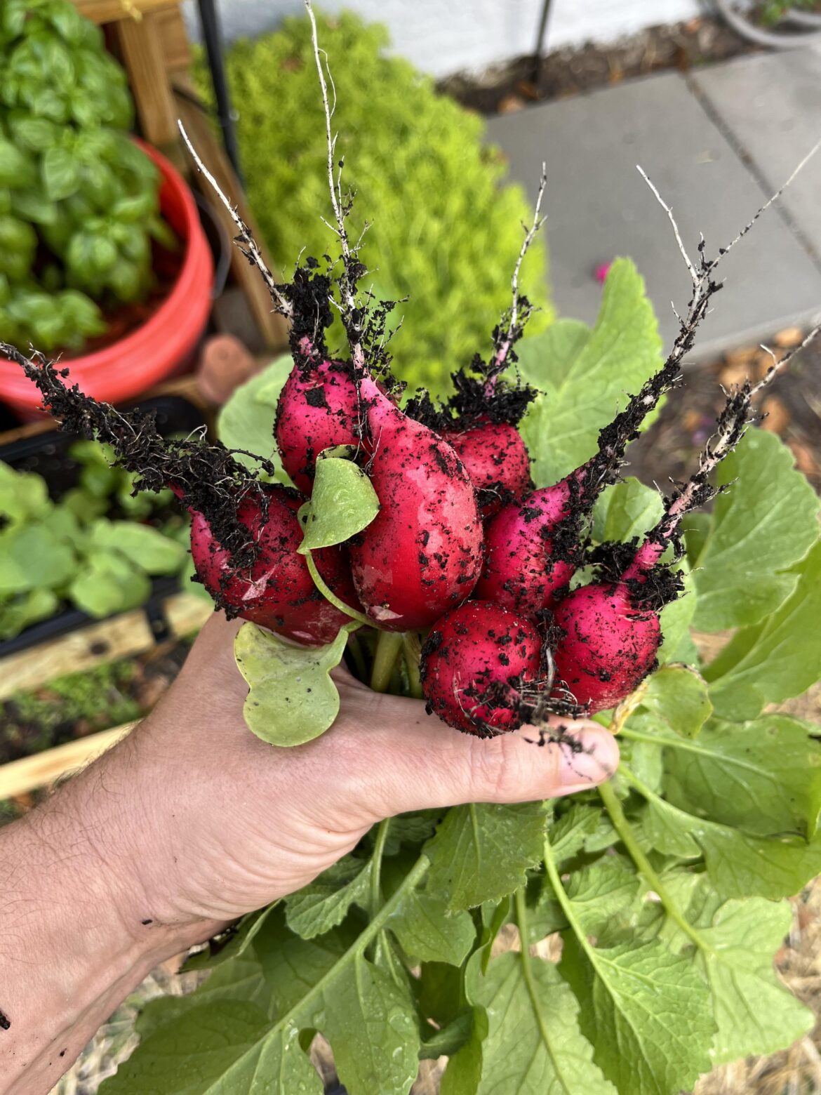 First pick of the year