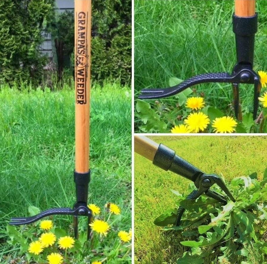 Amazon Has the Gardening Tools You Need for Spring