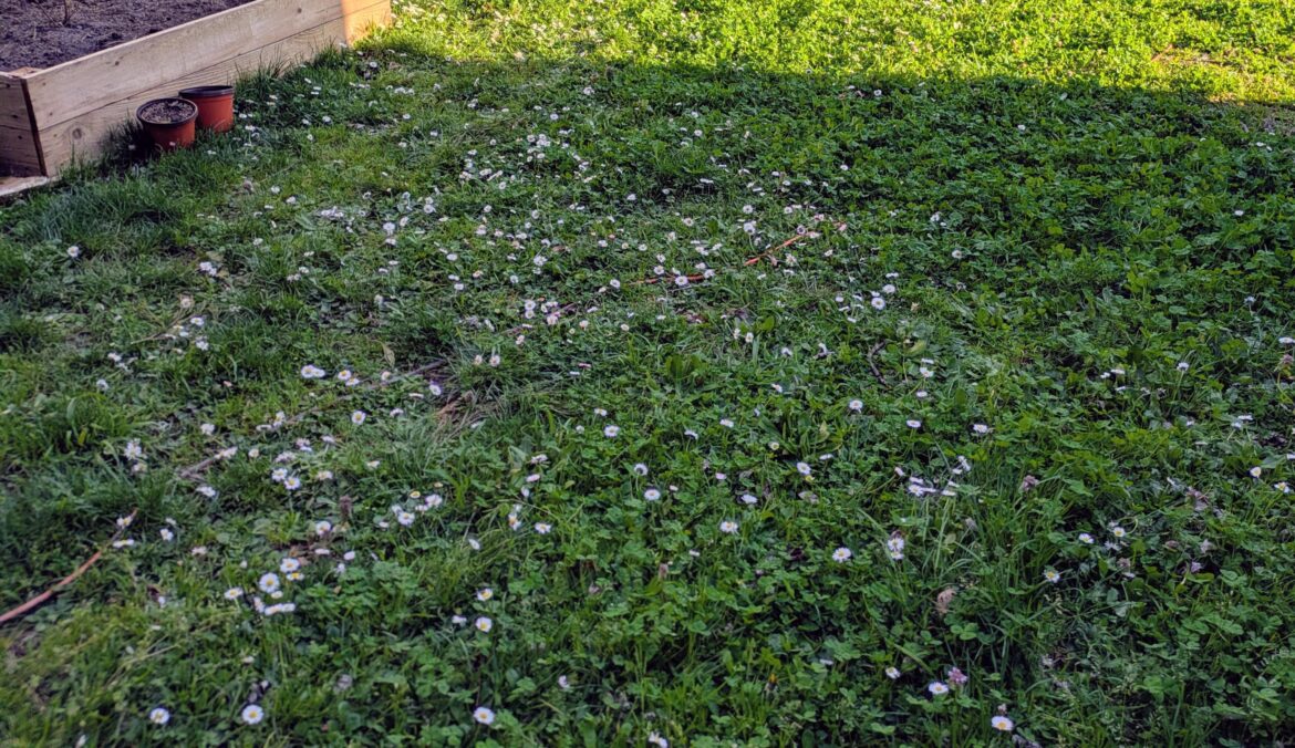 I Won the Yard Lottery