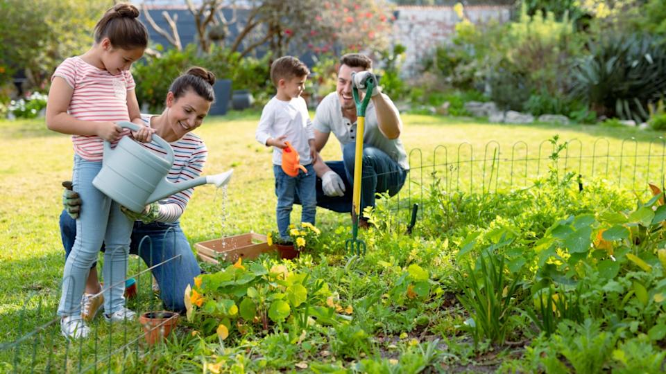 Happy caucasian family gardening and watering plants together. family time, having fun together at home and garden.