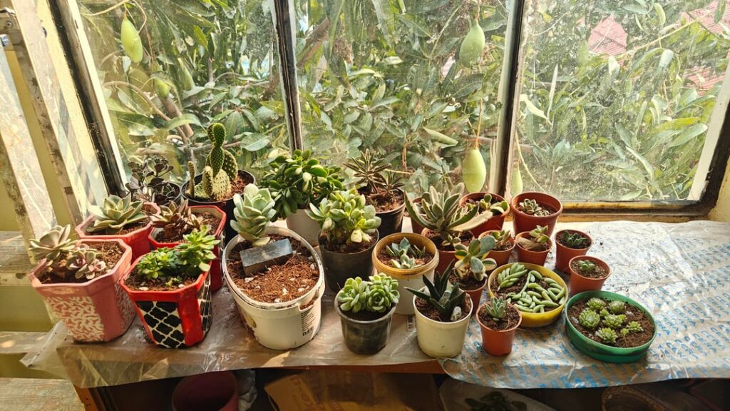 a little family photo ❤️