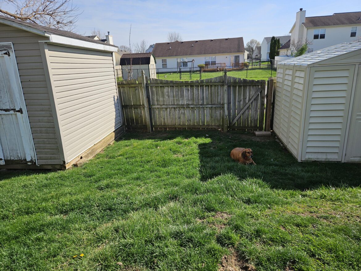 Building a tiny native garden - zone 6a Indiana