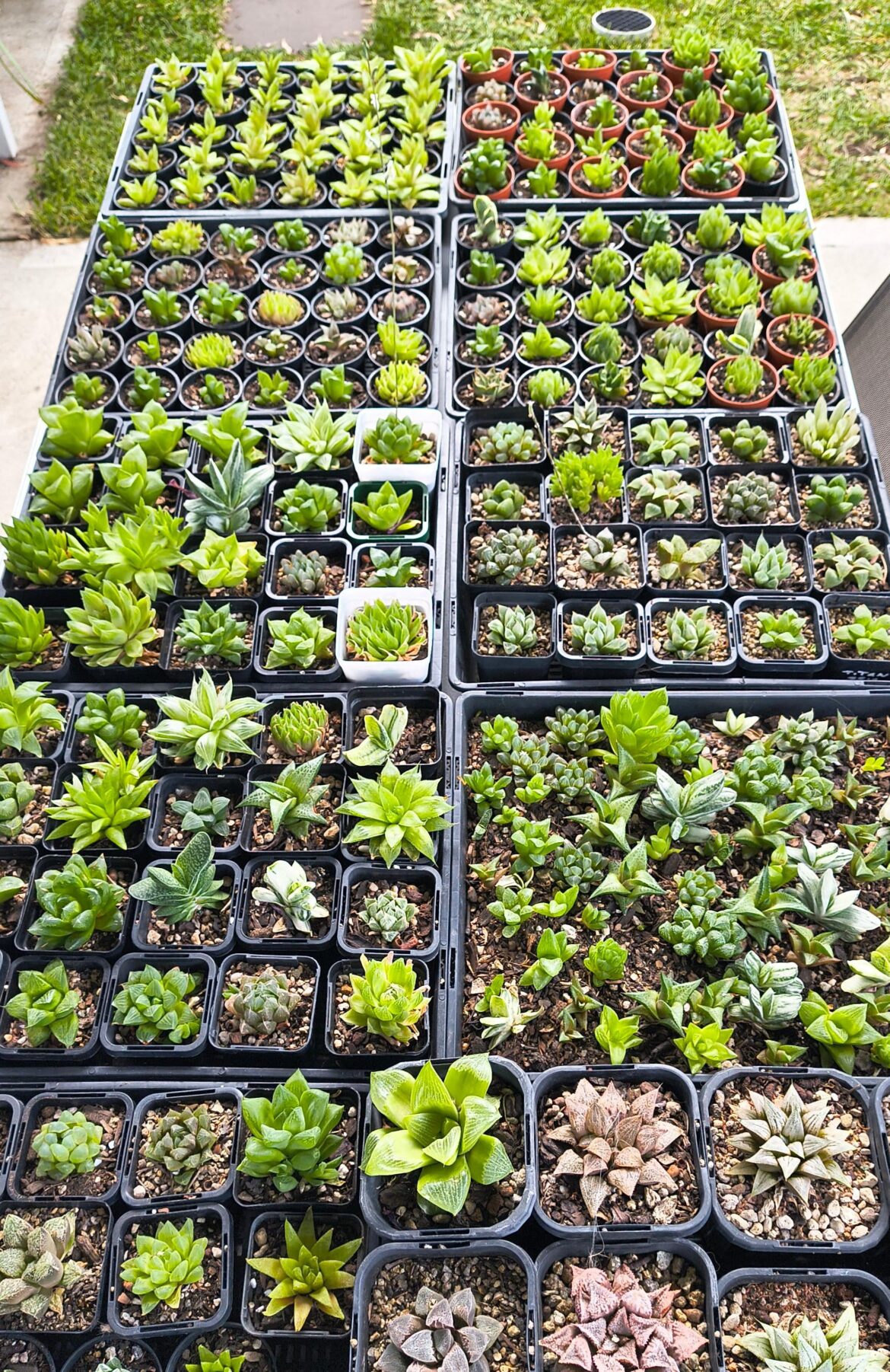 I think I could spare a few...
