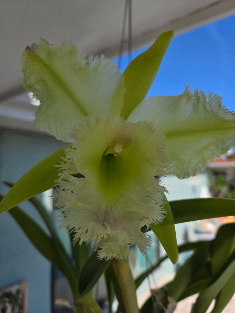 2 years of waiting....worth every minute