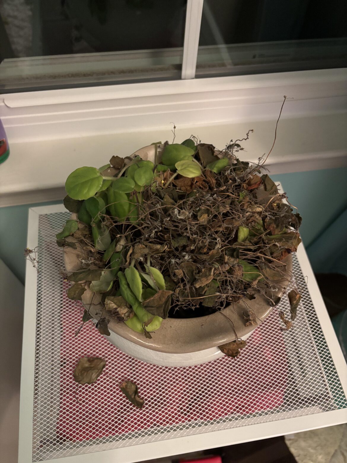 Please help! Please help!