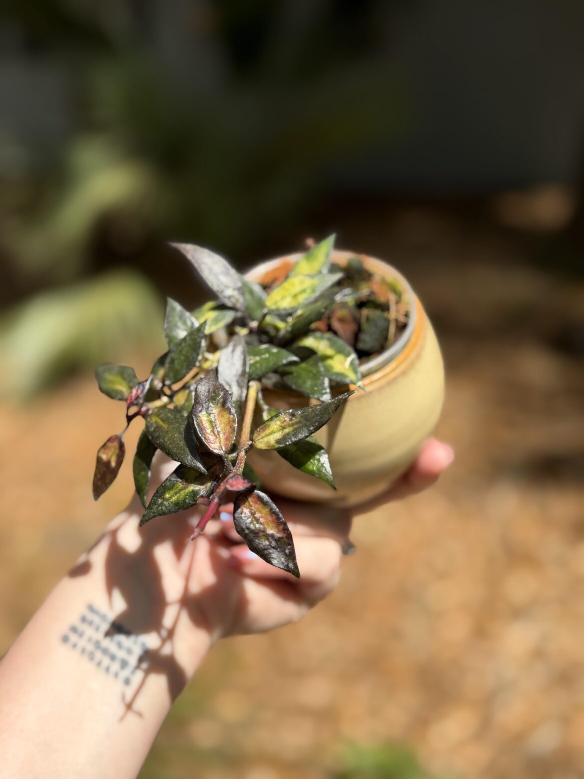 Black inferno from UPT