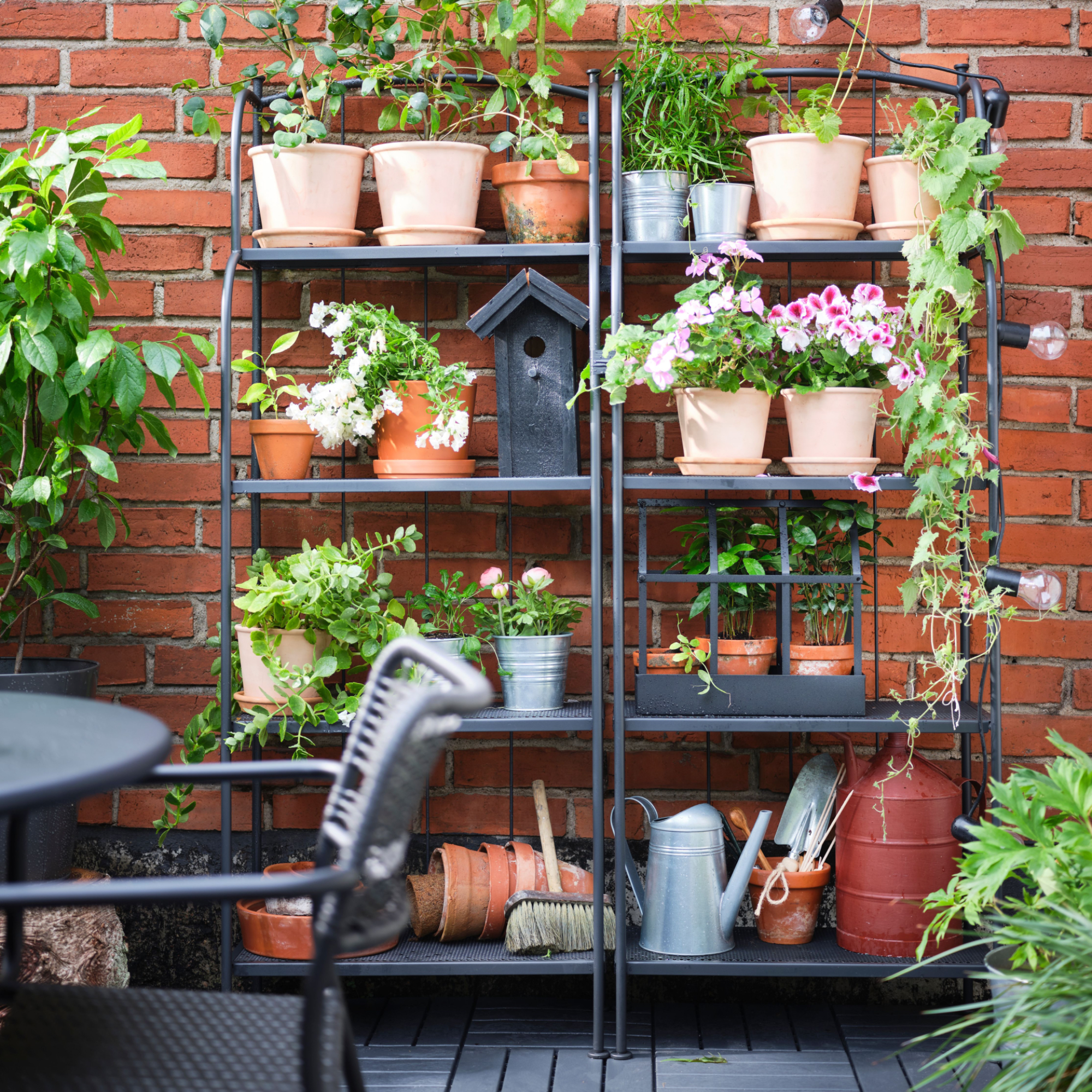 IKEA L&Auml;CK&Ouml; shelving units placed together against a brick wall with pots, planters and gardening accessories