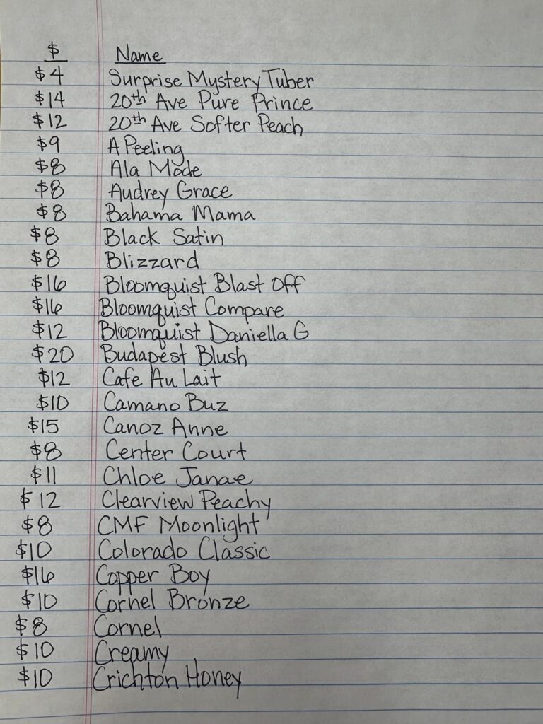 Dahlia tubers for sale 🌱🌸