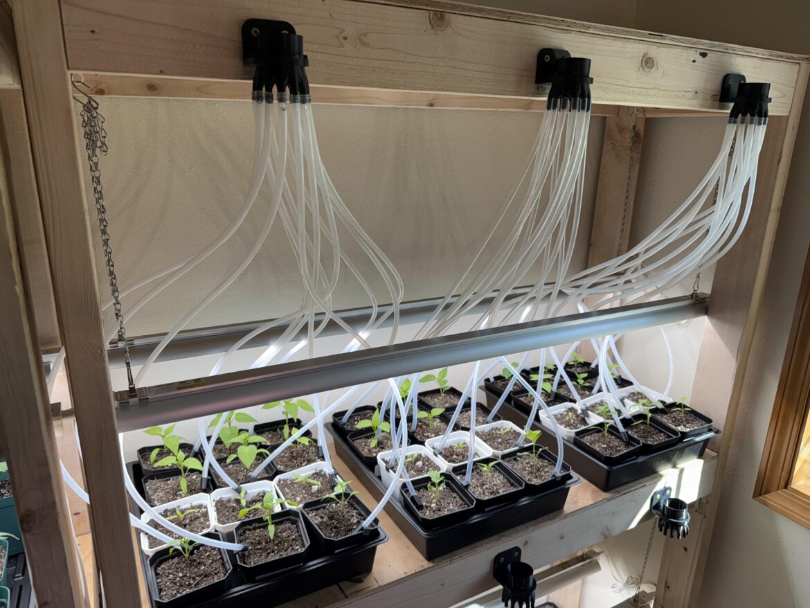 New Watering Setup for Starts New Watering Setup for Starts