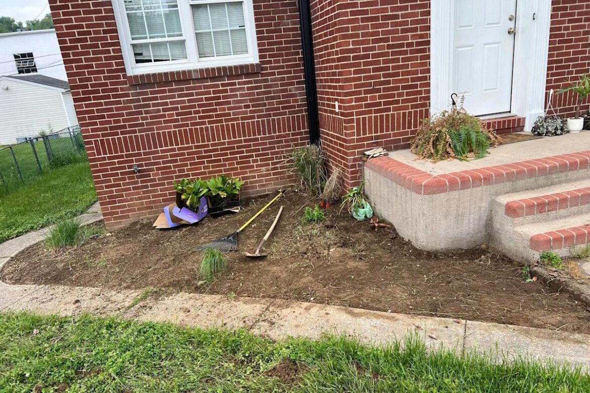 Homeowner documents incredible landscaping transformation