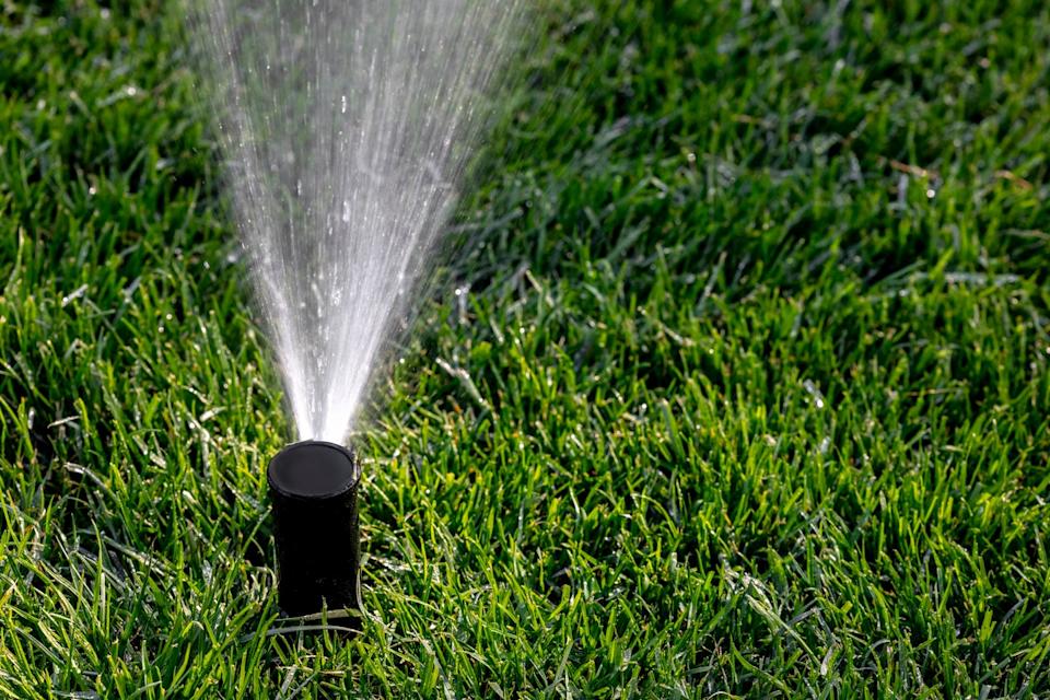 Close-up of a sprinkler and green grass.