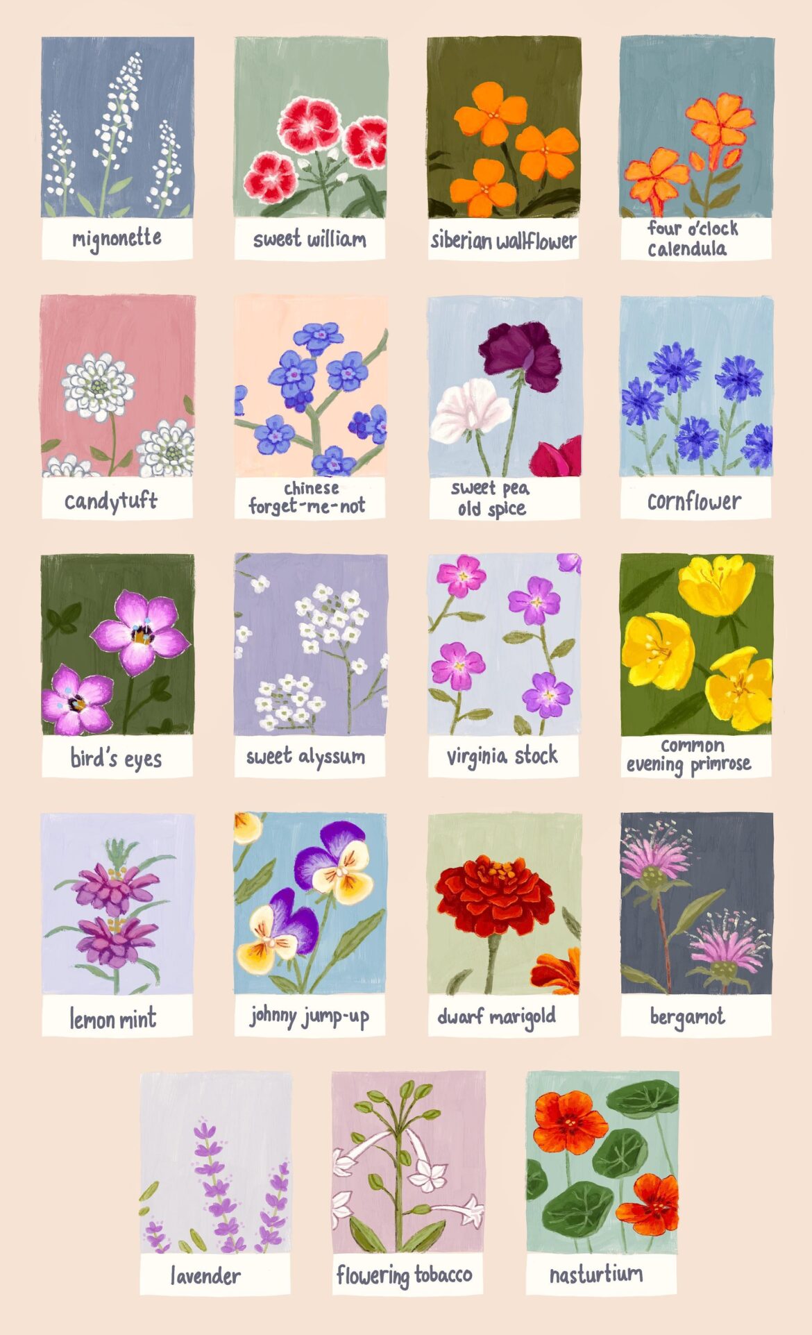 drawing my own plant labels to give to my friends! :-)