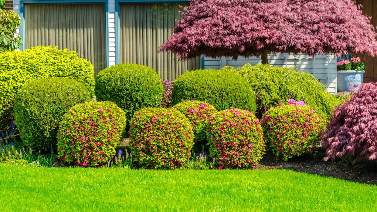 Flowers, nicely trimmed bushes and stones in front of the house, front yard. Landscape design.