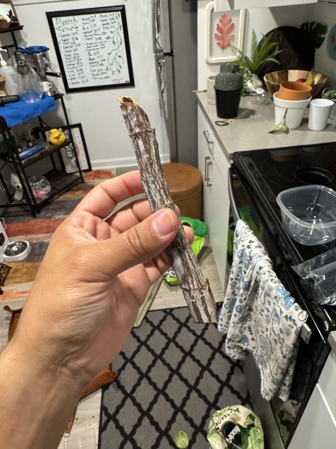 Prop?