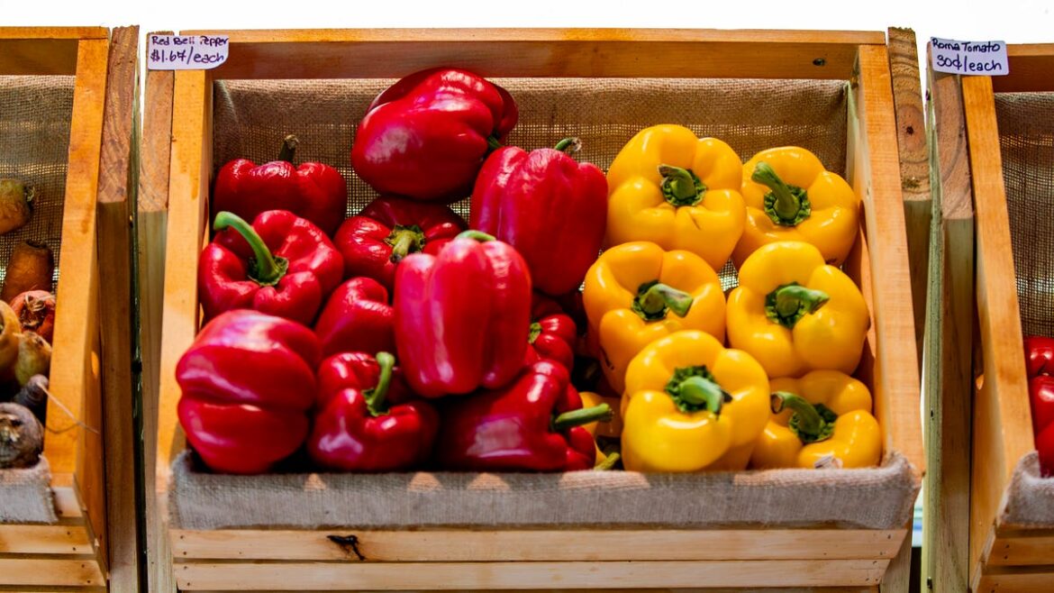 Garden influencers don’t understand the birds and the bees