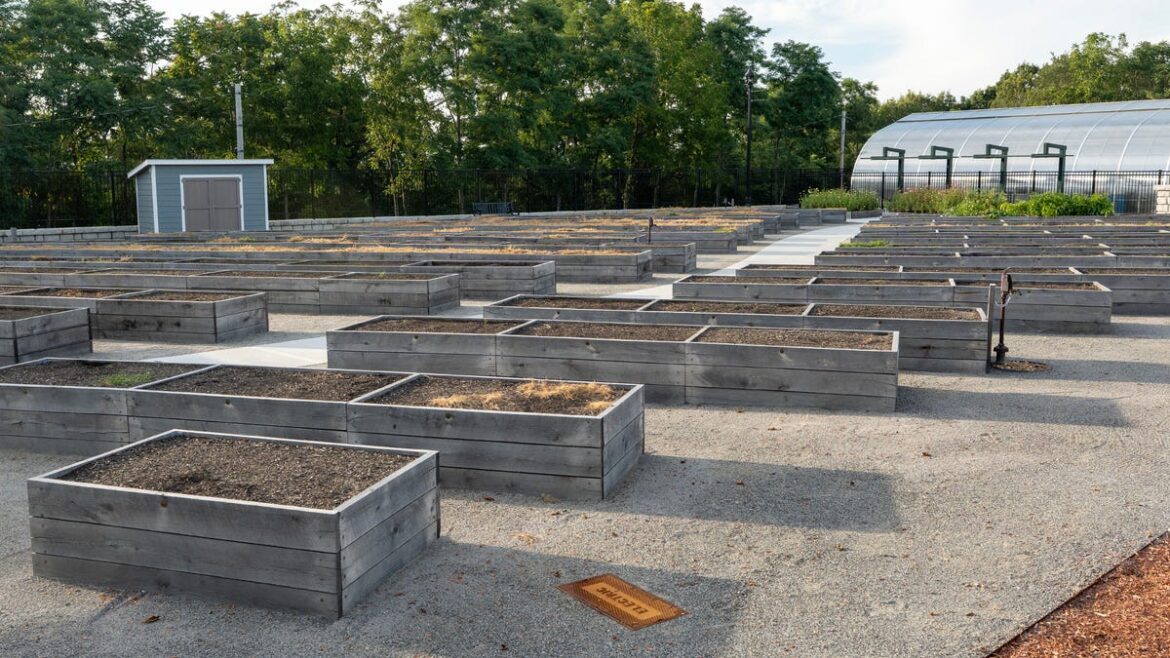 Apply now for plots in Green Hill Park community garden