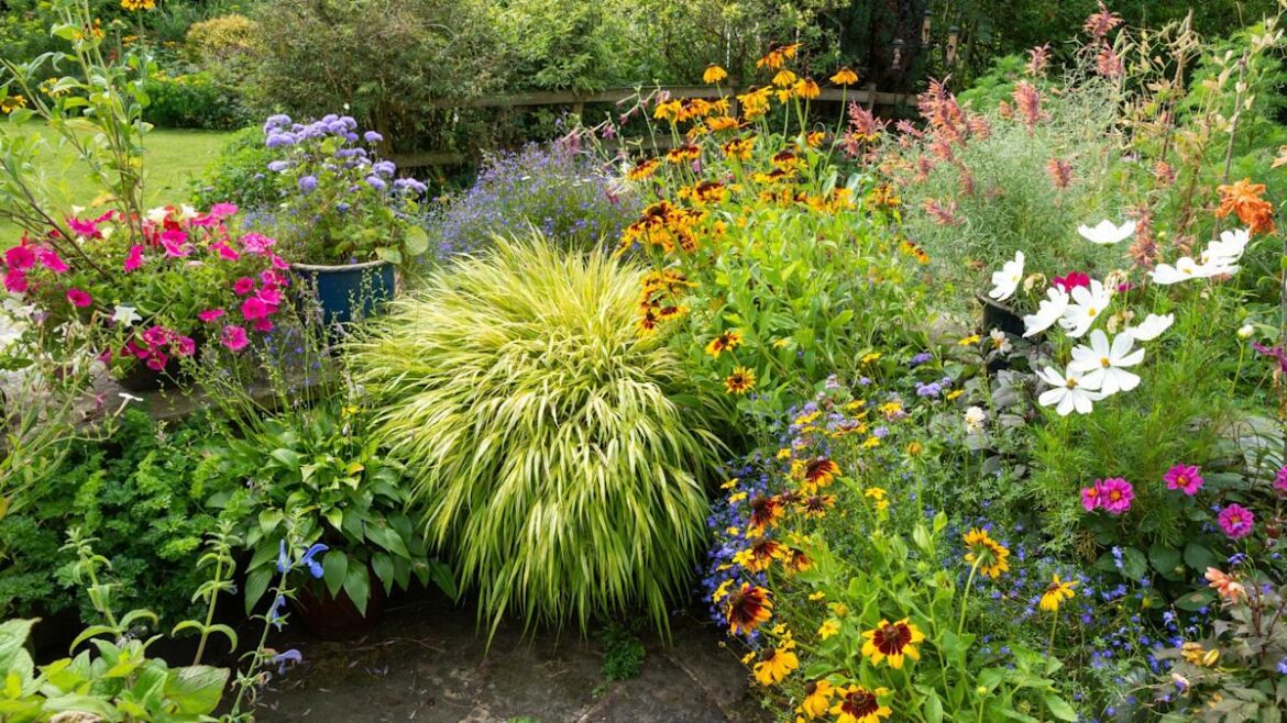 5 Blooms To Plant in March To Increase Curb Appeal by Memorial Day