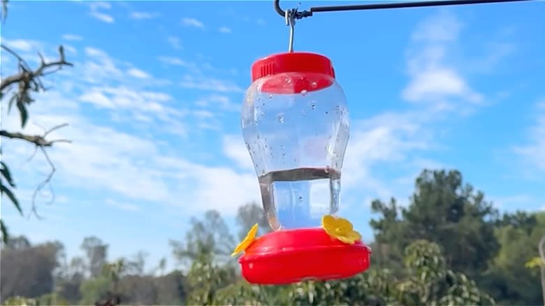 Dollar Tree hummingbird feeder hanging outdoors against a bright blue sky.